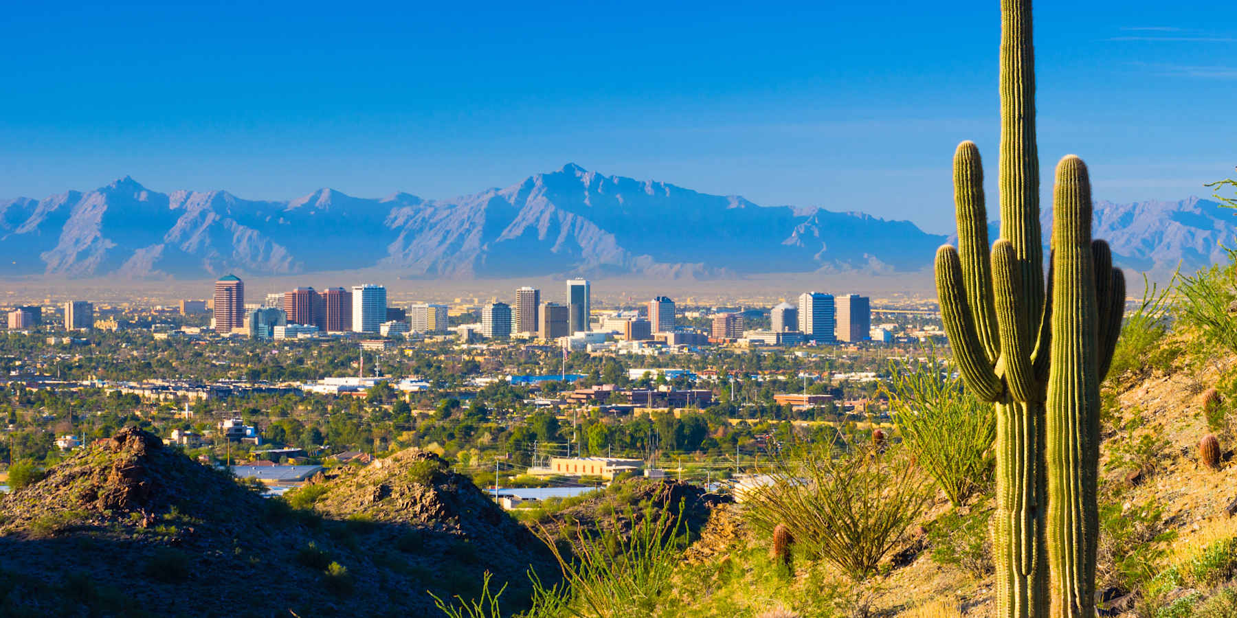The Phoenix-area skyline with a saguaro cactus, near Chandler, Arizona
